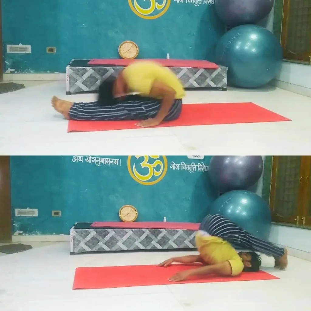 Most Repetitions of Halasana to Paschimottanasana Yoga