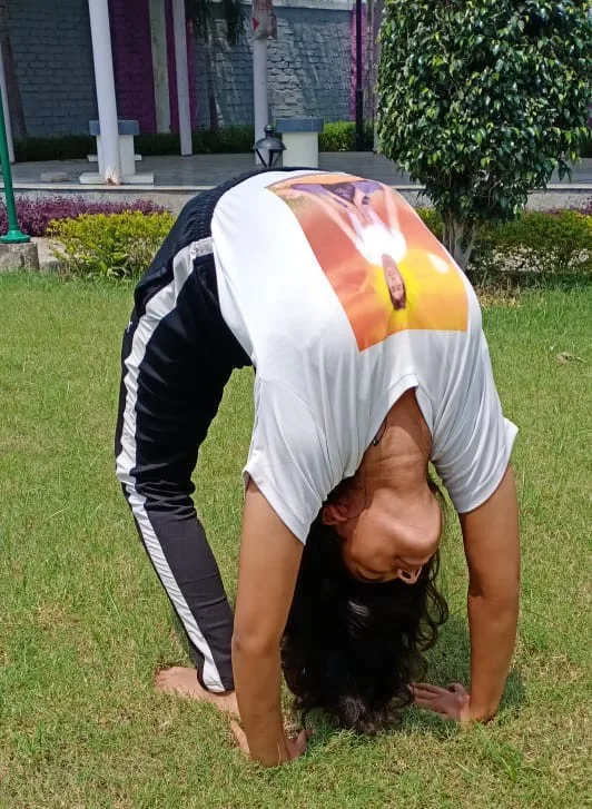 Most Chakrasana Push-ups (Wheel Pose)