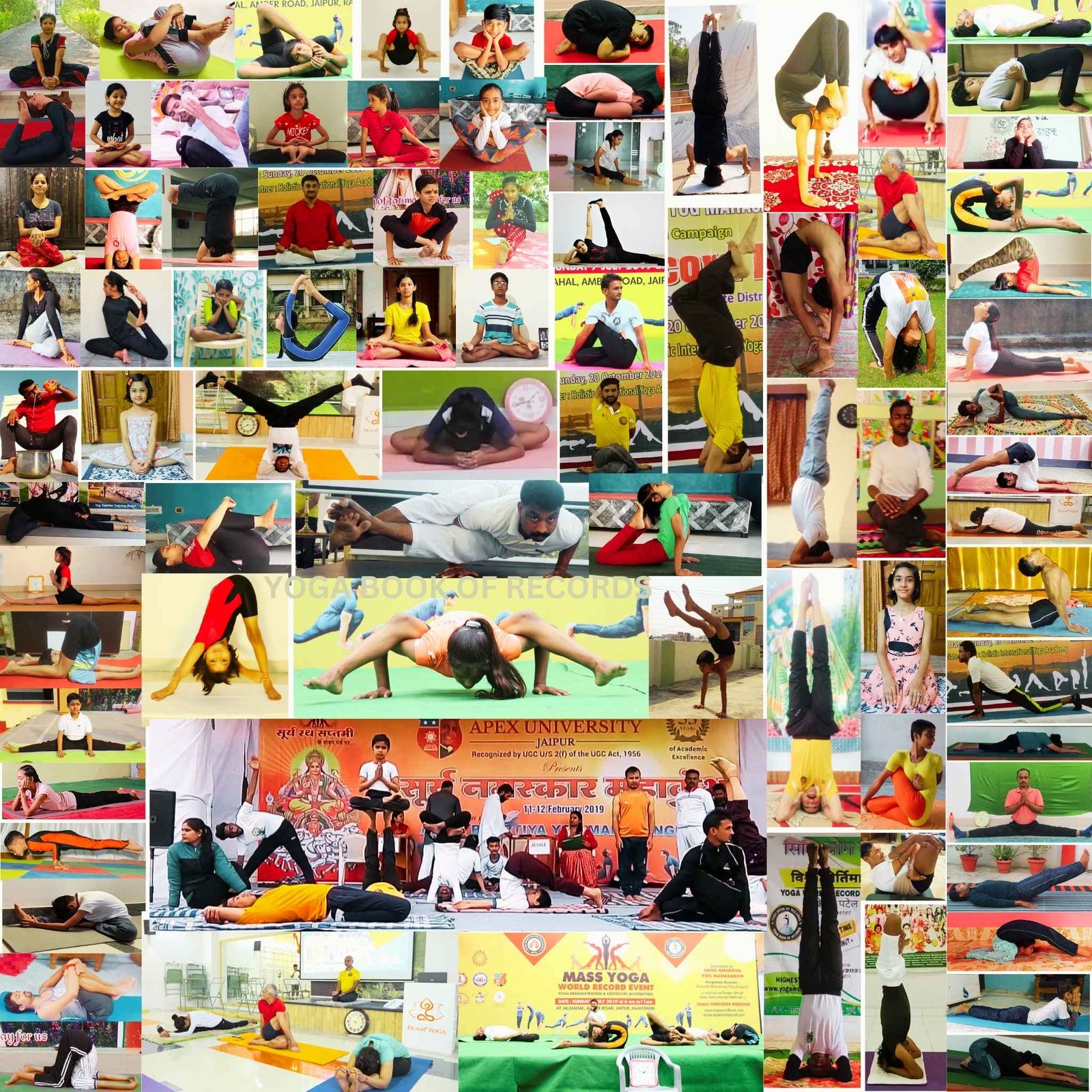 Yoga World Record Categories